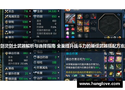 剑灵剑士武器解析与选择指南 全面提升战斗力的最佳武器搭配方案